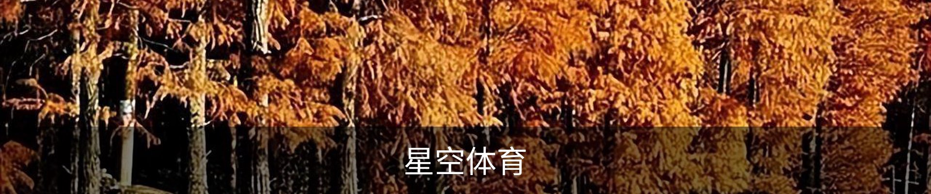 星空体育